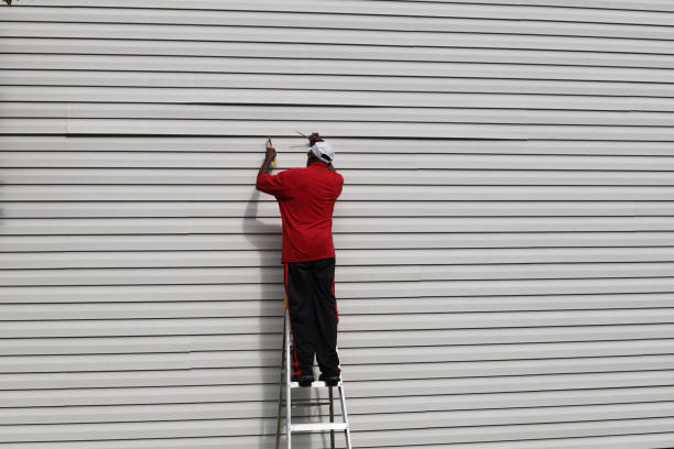Best Fascia and Soffit Installation  in Kodi Station, AK